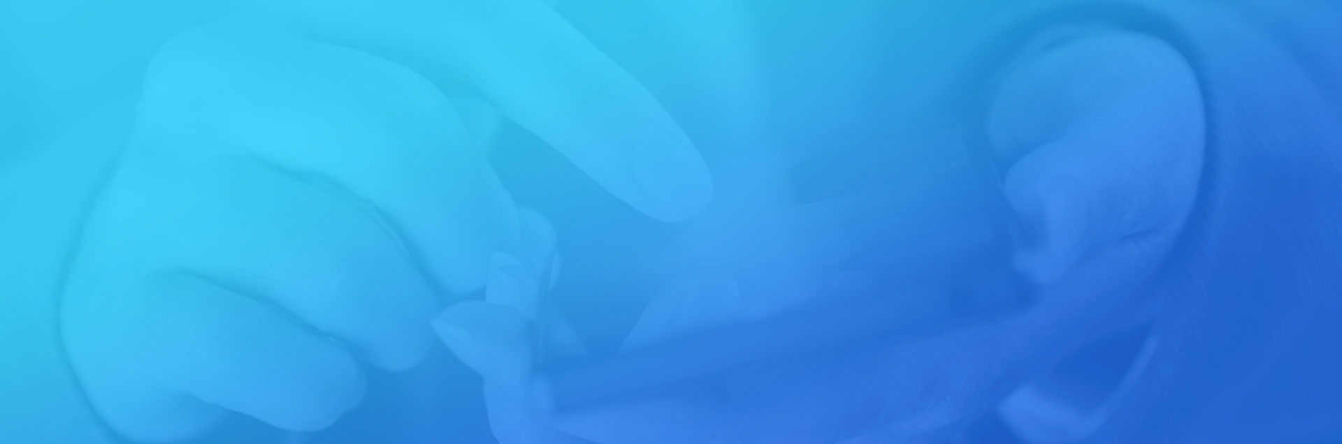 一網天行-網站建設|微信開發|小程序開發