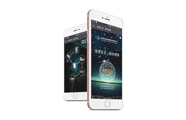 一網天行-網站建設|微信開發|小程序開發