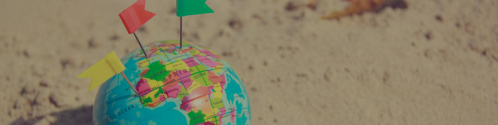 環(huán)球購物官方網(wǎng)站|一網(wǎng)天行-網(wǎng)站建設小程序APP系統(tǒng)軟件開發(fā)公司