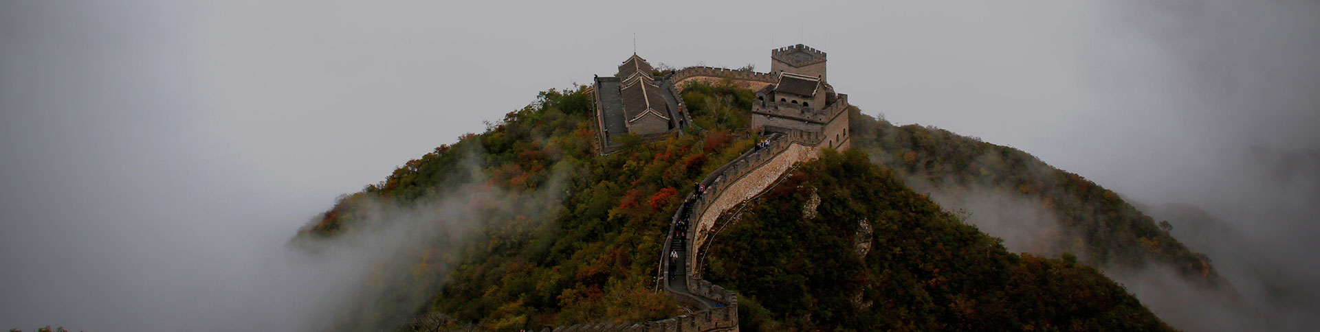 文物保護工程專業人員-考核證書信息平臺|一網天行-網站建設小程序APP系統軟件開發公司