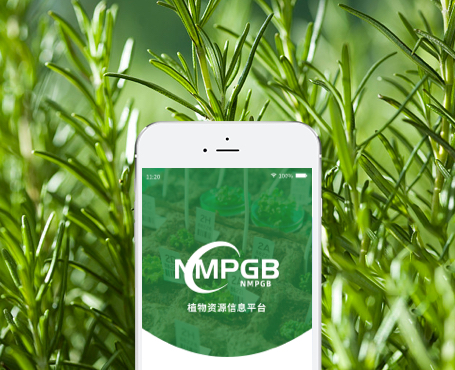 藥植所-植物資源信息平臺APP|一網天行-網站建設小程序APP系統軟件開發公司